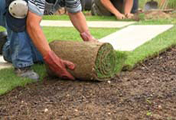 sod installation new jersey